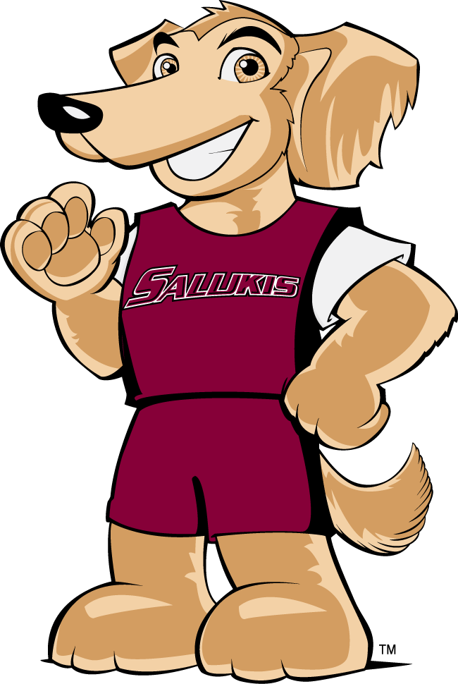 Southern Illinois Salukis 2006-2018 Mascot Logo v7 diy iron on heat transfer